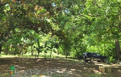 #4226 – Cozy Country Living, Five Buildings on 3/4 Acre of Land Just 15 Minutes from Belmopan, Cayo District, Belize, Teakettle, Cayo District, Teakettle, Cayo District