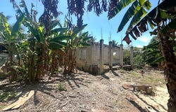 346 Parcel, Calcutta, Corozal District