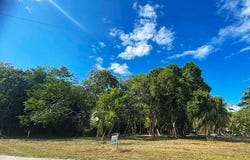 Consejo Beach Trail, Corozal District, Corozal District