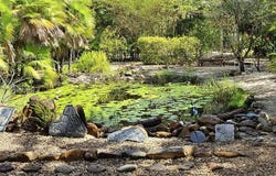 Surfside, Placencia, Stann Creek District