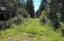 Old Post Road Lot 1, Lake Midway, Nova Scotia B0V 1A0