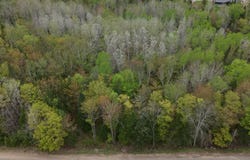 Ch. du Roy, Mandeville, Quebec J0K1L0