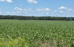 69e Avenue, Saint-Zotique, QC J0P1Z0, CA, Saint-Zotique, Quebec J0P1Z0