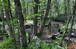 Mtée du Lac-Bleu, Saint-Léonard-de-Portneuf, Quebec G0A4A0