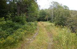 Ch. Brown, Gore, Quebec J0V1K0