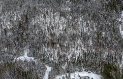 Route 125 N., Saint-Donat, Quebec J0T2C0