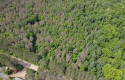 Mtée Lafrance, Lac-des-Plages, QC J0T1K0, CA, Lac-des-Plages, Quebec J0T1K0