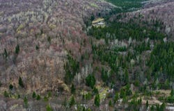 Boul. St-Francois, Lac-des-Écorces, QC J0W1H0, CA, Lac-des-Écorces, Quebec J0W1H0