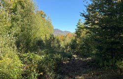 Rue de la Samare, Eastman, Quebec J0E1P0