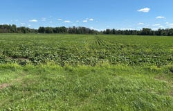 69e Avenue, Saint-Zotique, QC J0P1Z0, CA, Saint-Zotique, Quebec J0P1Z0