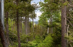 01 Route de la Grande-Alliance, Baie-Sainte-Catherine, QC G0T1X0, CA, Baie-Sainte-Catherine, Quebec G0T1X0