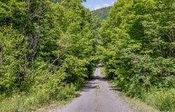 2924 Boul. Talbot, Stoneham-et-Tewkesbury, QC G3C1L1, CA, Stoneham-et-Tewkesbury, Quebec G3C1L1