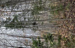 Flatlands, Flatlands, New Brunswick