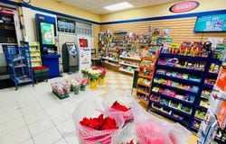 33 The Links Road, Toronto, Ontario M2P1T7