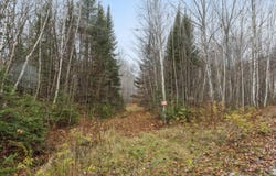 Ch. du Lac-Michel, Cayamant, Quebec J0X1Y0