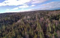 2e Rang E., New Richmond, Quebec G0C2B0