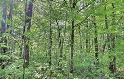 51 Rue Guillemette, Saint-Christophe-dArthabaska, QC G6R0G3, CA, Saint-Christophe-d'Arthabaska, Quebec G6R0G3