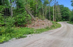 373 Mtée Bussière, La Pêche, QC J0X3K0, CA, La Pêche, Quebec J0X3K0