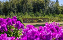 8757/8761 Oyster River Way, Black Creek, British Columbia V9J 1K5
