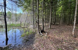 Rue des Irlandais, Gore, Quebec J0V1K0