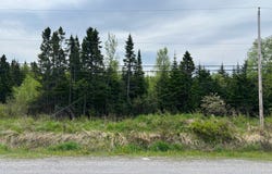 Route 132 E., Sainte-Luce, Quebec G0K1P0