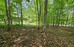 Rue du Mont-Rainer, Sainte-Agathe-des-Monts, QC J8C2Z7, CA, Sainte-Agathe-des-Monts, Quebec J8C2Z7