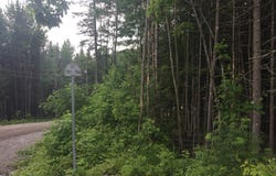702 Rue Viau, Sainte-Brigitte-de-Laval, Quebec G0A 3K0