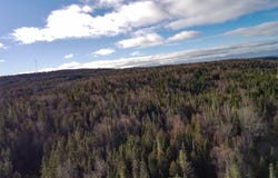 2e Rang E., New Richmond, Quebec G0C2B0