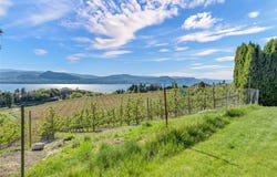4343 Naramata Road N, Naramata, British Columbia V0H 1N1