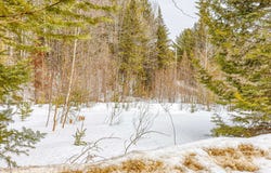 Rue Kaiser, Rawdon, Quebec J0K1S0
