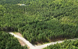 Rue Non Disponible-Unavailable, Saint-Fabien-de-Panet, QC G0R2J0, CA, Saint-Fabien-de-Panet, Quebec G0R2J0