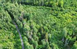 Rue Principale, Saint-Honoré-de-Témiscouata, Quebec G0L3K0