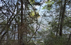 161 Rue des Cèdres, Rivière-Héva, QC J0Y2H0, CA, Rivière-Héva, Quebec J0Y2H0