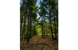 420 Rue de l'Archipel, Saint-Denis-de-Brompton, Quebec J0B2P0