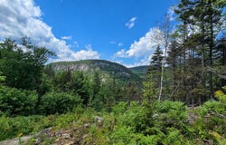 01 Route de la Grande-Alliance, Baie-Sainte-Catherine, QC G0T1X0, CA, Baie-Sainte-Catherine, Quebec G0T1X0