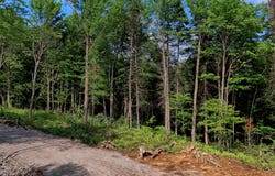 110 Ch. de la Vallée, Lac-Beauport, QC G3B1H8, CA, Lac-Beauport, Quebec G3B1H8