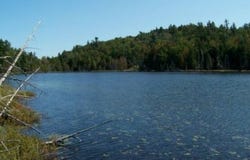 Av. du Lac-à-Lunettes, Chertsey, QC J0K3K0, CA, Chertsey, Quebec J0K3K0