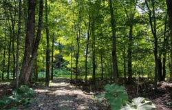 Ch. des Érables, Wentworth, Quebec J8H0E9