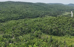 Route 364, Morin-Heights, Quebec J0R 1H0
