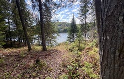 Rue des Arlequins, Sainte-Adèle, Quebec J8B2B7