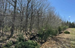 Kill Dog Cove Road Lot R-9, Parkdale, Nova Scotia B0R 1A0