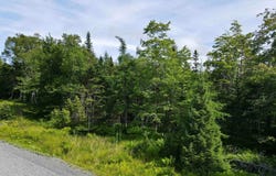 Cedar Drive Lot 149, Cape George, Nova Scotia B0E 3M0