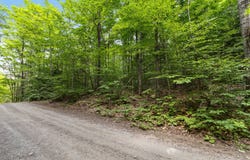 Ch. de la Baie-Simon, Low, Quebec J0X1S0