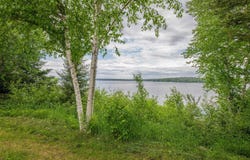 237 Ch. des Scouts, Val-d'Or, Quebec J9P7A8