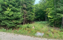 Rue Théophile-Ouimet, Lac-des-Écorces, QC J0W1H0, CA, Lac-des-Écorces, Quebec J0W1H0