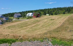 Mosher Road Lots, Kingsburg, Nova Scotia B0J 2X0
