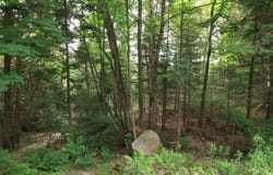 Rue du Guetteur, Sainte-Marguerite-du-Lac-Masson, QC J0T1L0, CA, Sainte-Marguerite-du-Lac-Masson, Quebec J0T1L0
