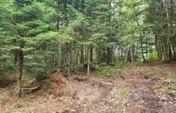 Ch. Sabourin, Bowman, Quebec J0X3C0