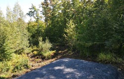 Rue de la Samare, Eastman, Quebec J0E1P0