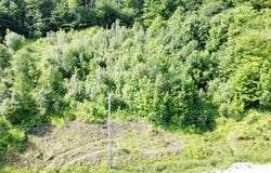 Ch. Pierrot, Mont-Laurier, Quebec J9L3G5
